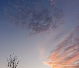 DSC_2796_DxO